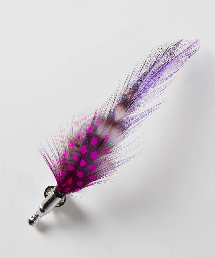 Accessories | Men，s Joe Browns Vibrant Feather Pin Multi