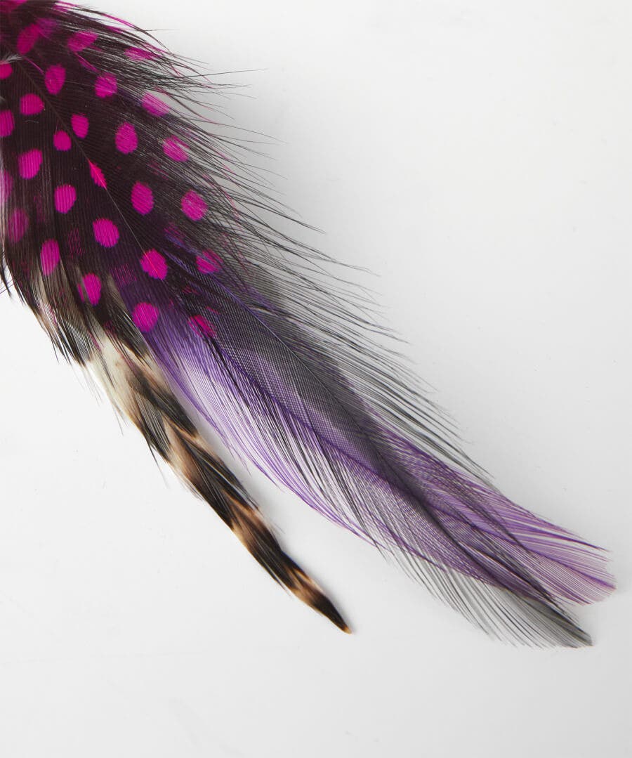 Accessories | Men，s Joe Browns Vibrant Feather Pin Multi